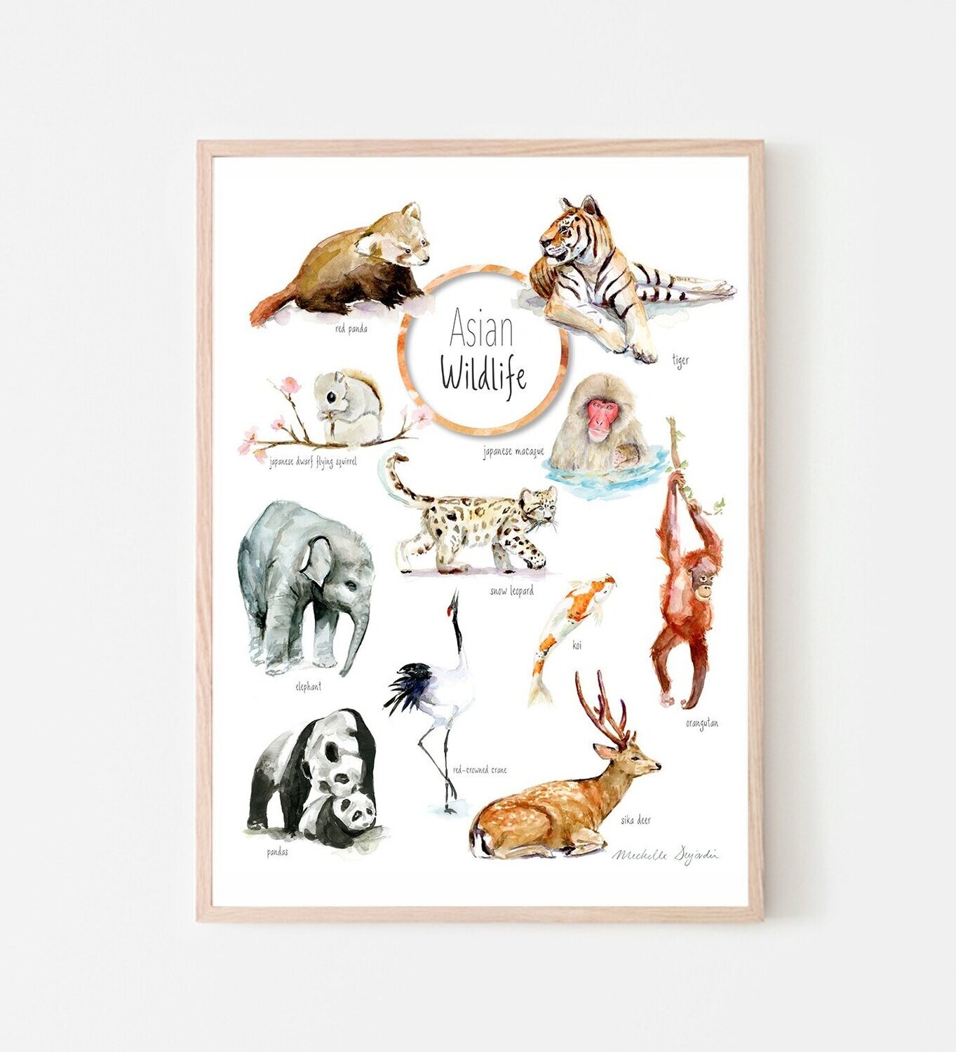 Asian animal species watercolor illustration poster