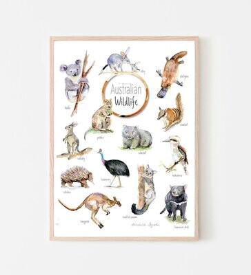 Australian animals art print with watercolor paintings