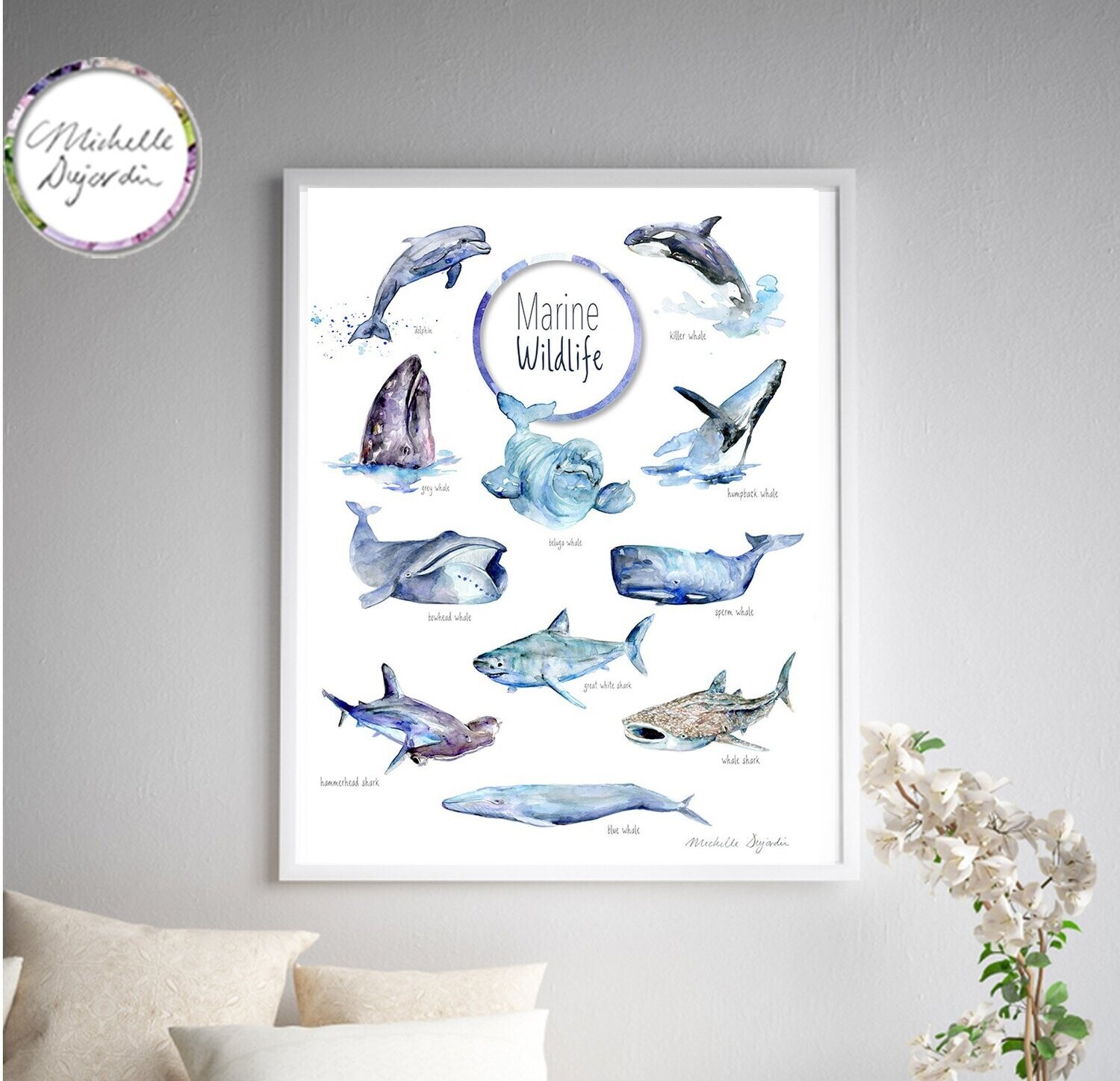 Marine Wildlife whale sharks and dolphin species art print