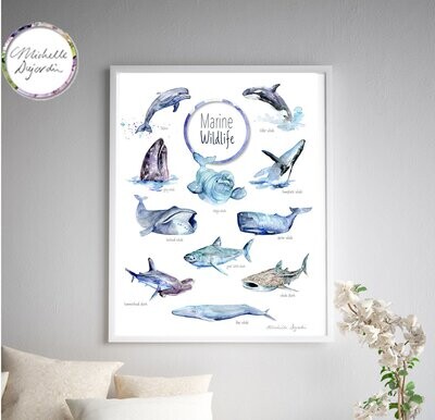 Marine Wildlife whale sharks and dolphin species art print