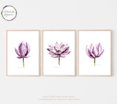Set of 3 art prints of magenta lotus watercolor paintings