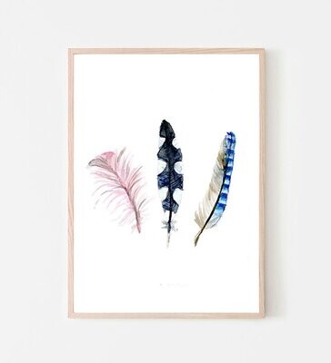 Blue grey pink feathers watercolor painting art print