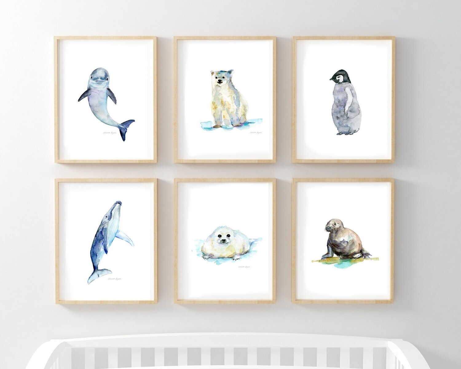 6 Prints with baby whale, dolphin, walrus, penguin, seal and polar bear