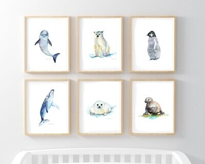 6 Prints with baby whale, dolphin, walrus, penguin, seal and polar bear