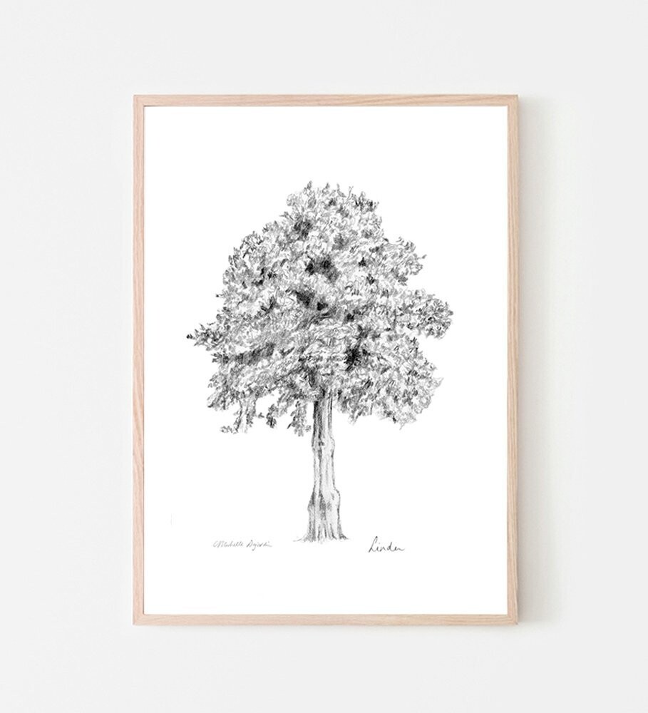 Draw a Tree with Us—It's Easy! | Getty Iris