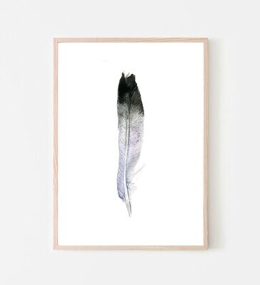 Lilac grey black feather ink painting art print