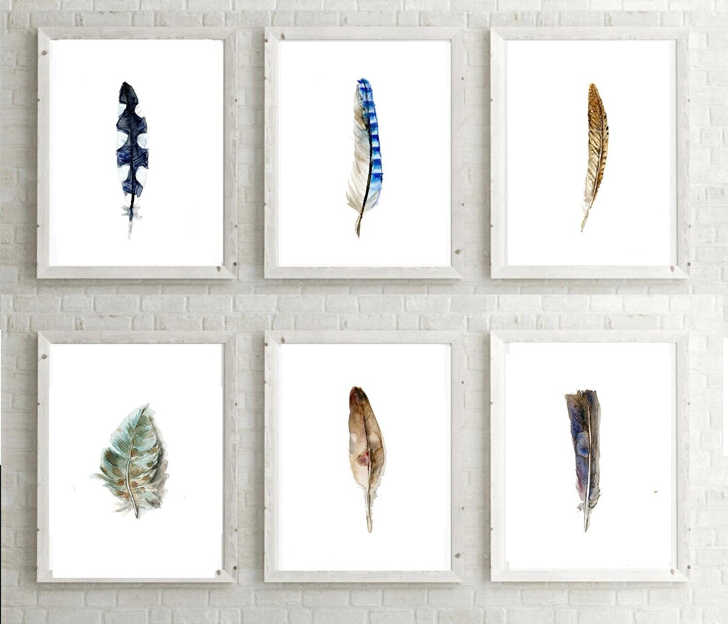 Set of 6 feather watercolor prints