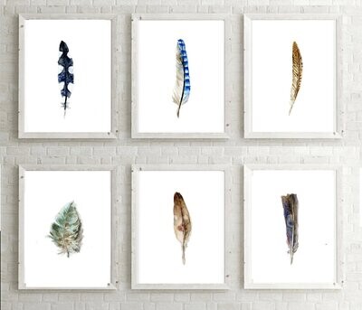 Set of 6 feather watercolor prints
