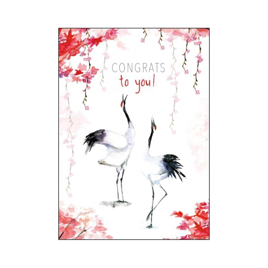 Birthday card with cranes