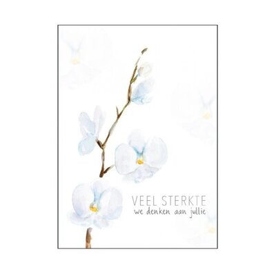 Sympathy card with white orchids flowers and Dutch text