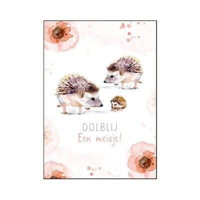 Birth card with hedgehog familie and Dutch text.