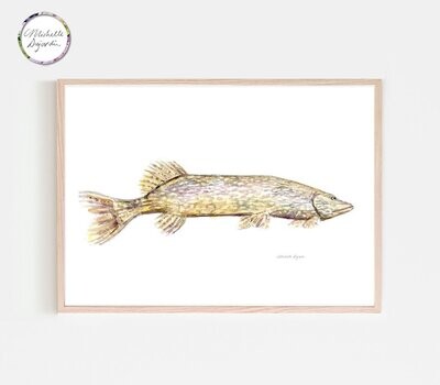 Fine art print of a Northern pike watercolor painting