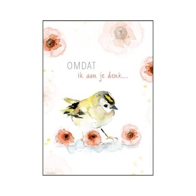 Goldcrest and flowers greeting card with Dutch text