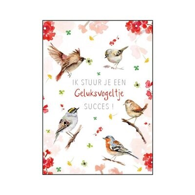 Lucky birds greeting card with Dutch text