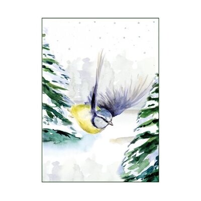 Winter and Christmas card with flying blue tit