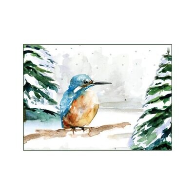 Winter greeting card with kingfisher watercolor illustration by Michelle Dujardin