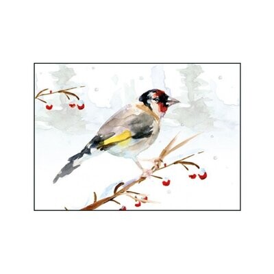 Winter greeting card with a goldfinch watercolor illustration by Michelle Dujardin