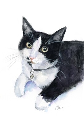 Custom cat painting