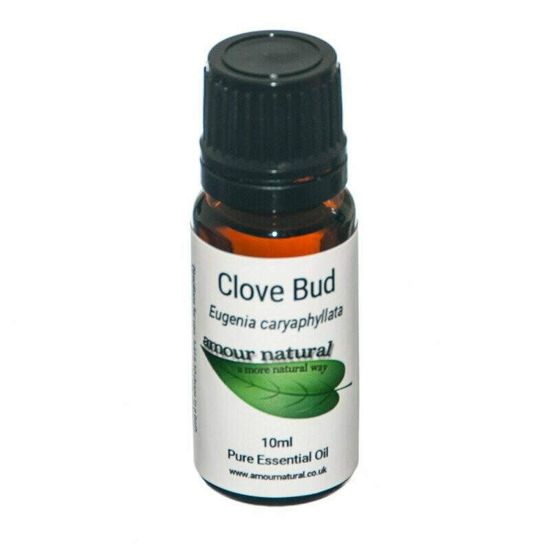 Clove Bud