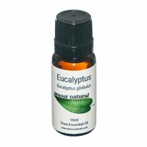 Eucalyptus