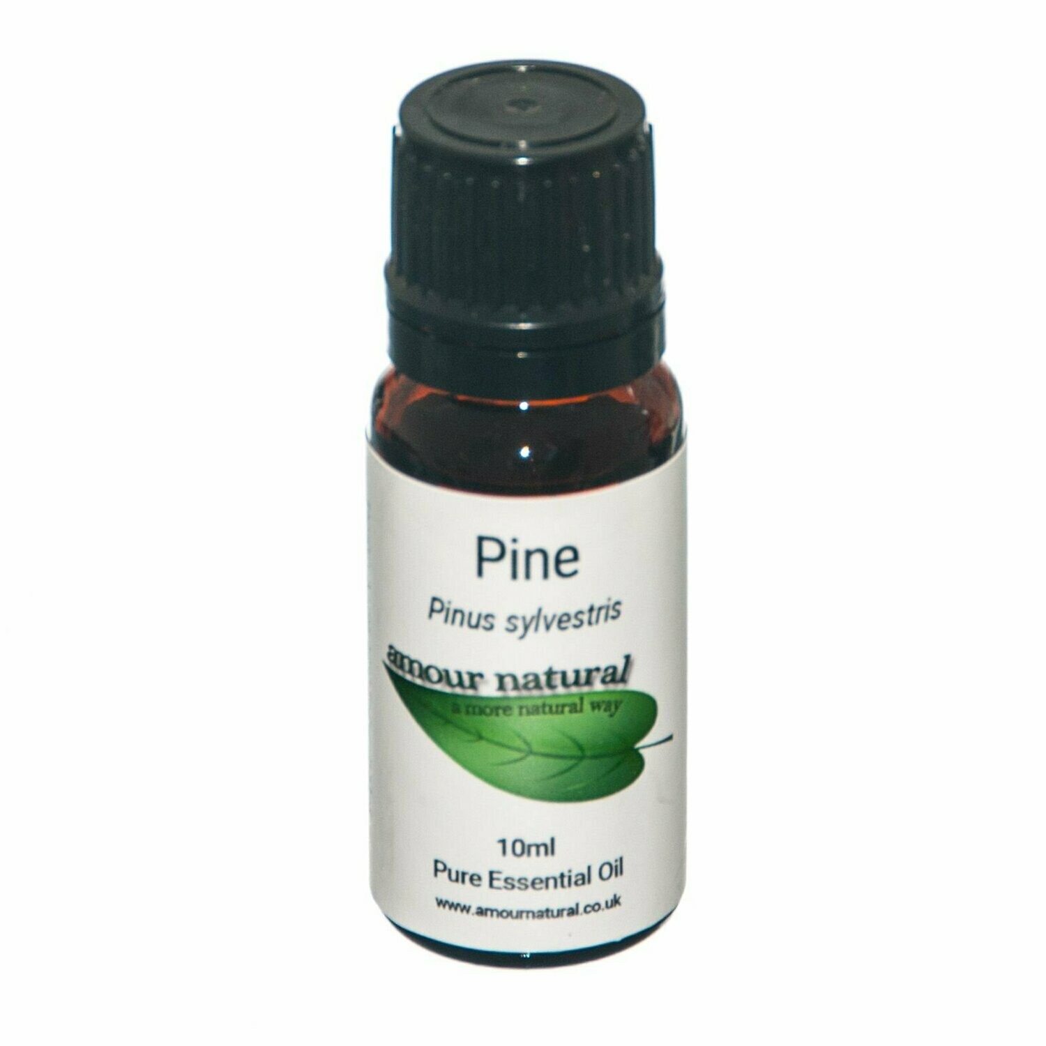 Pine