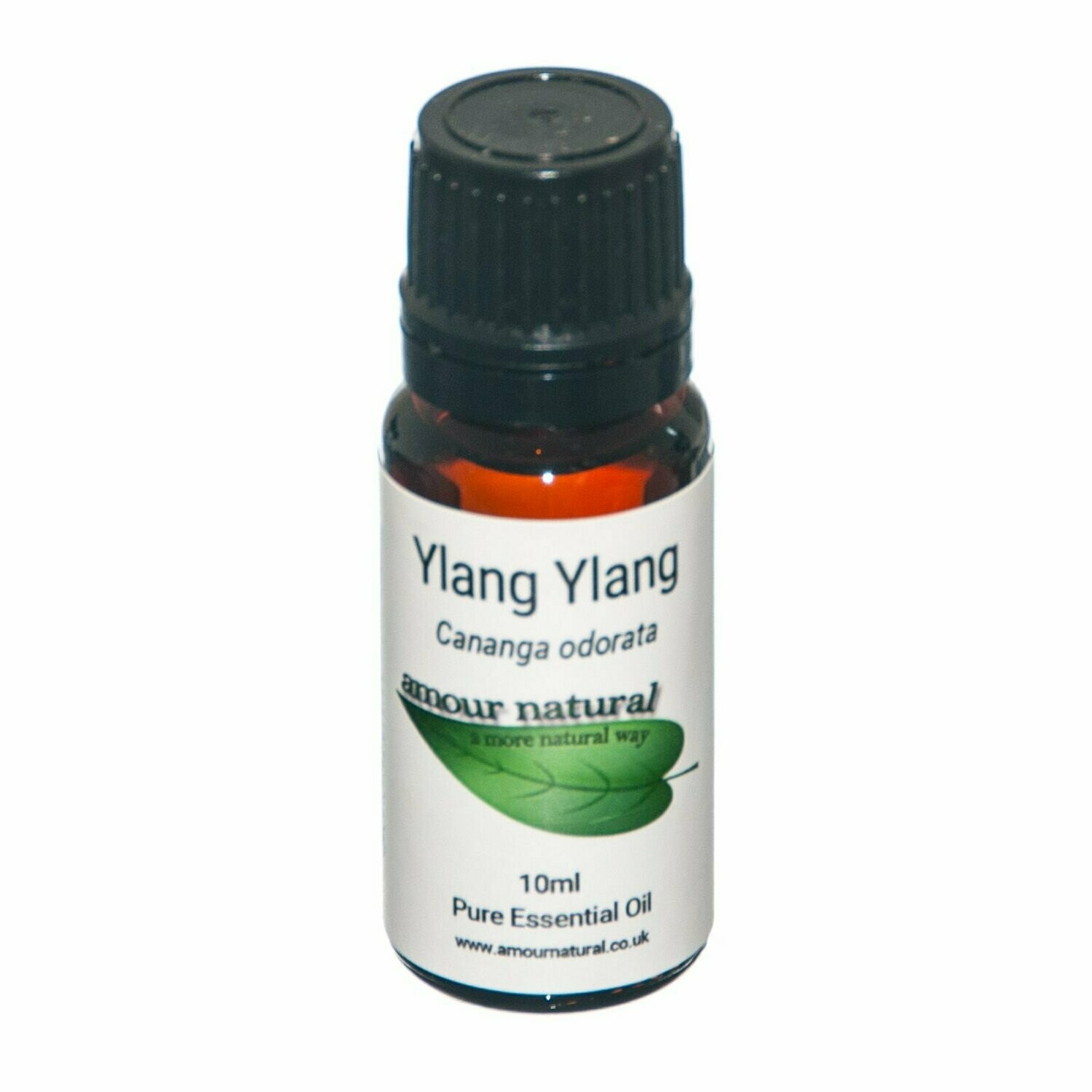 Ylang Ylang