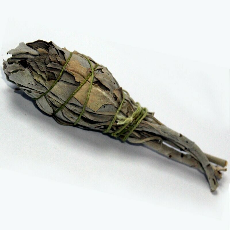 Sage