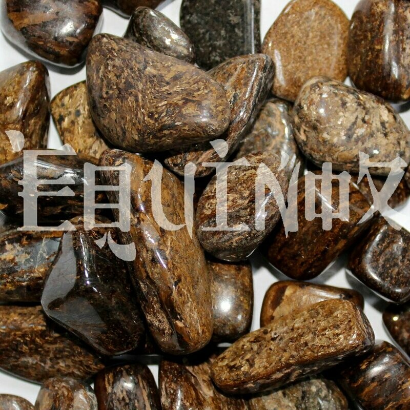 Bronzite