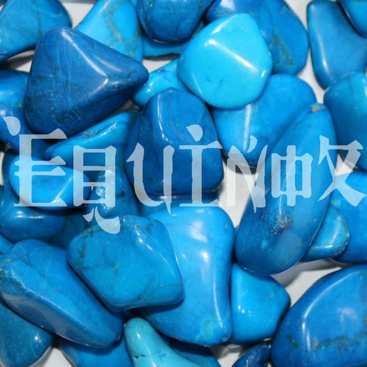 Howlite - Blue