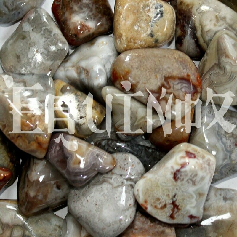 Jasper - Orbicular