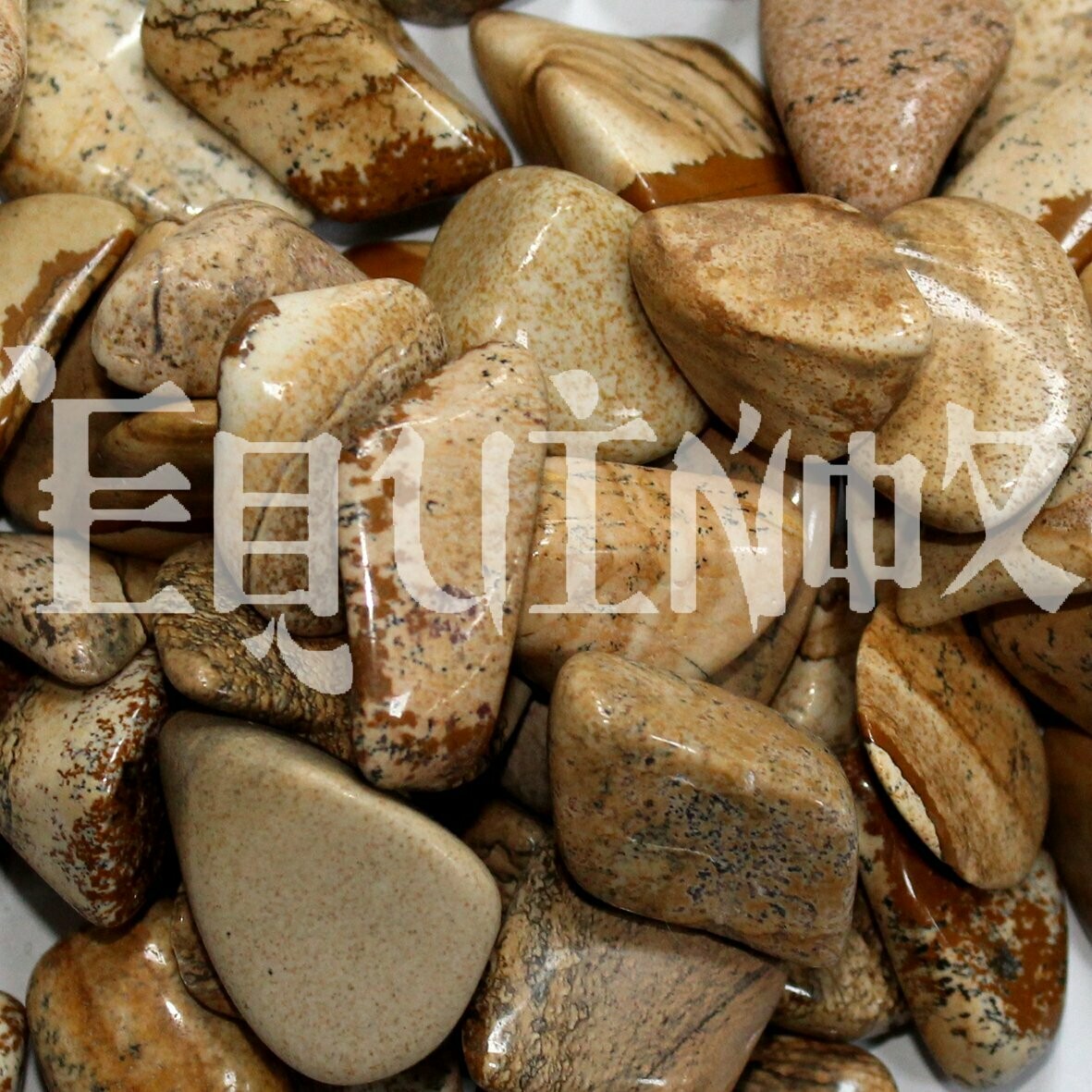 Jasper - Picture