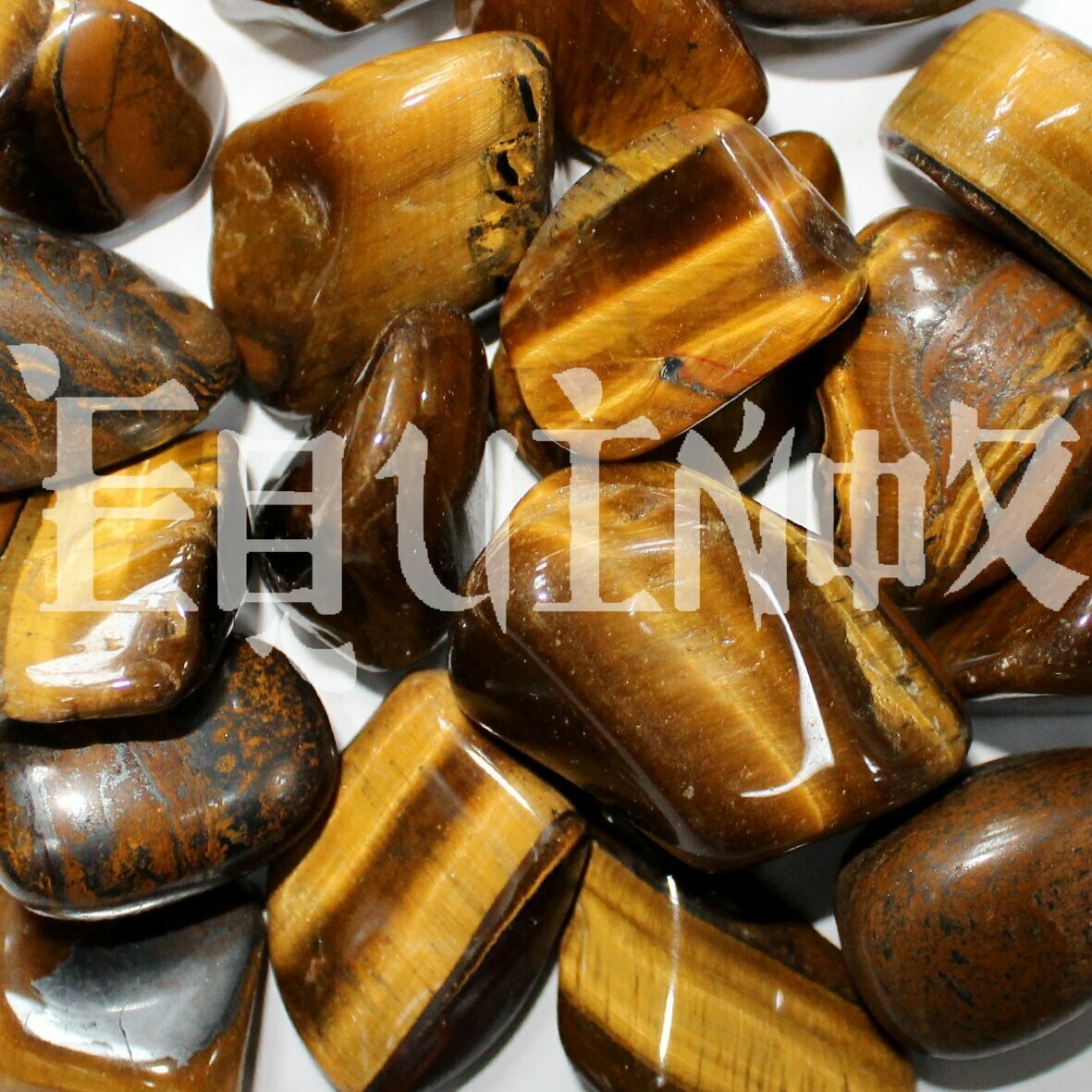 Tigers Eye Golden