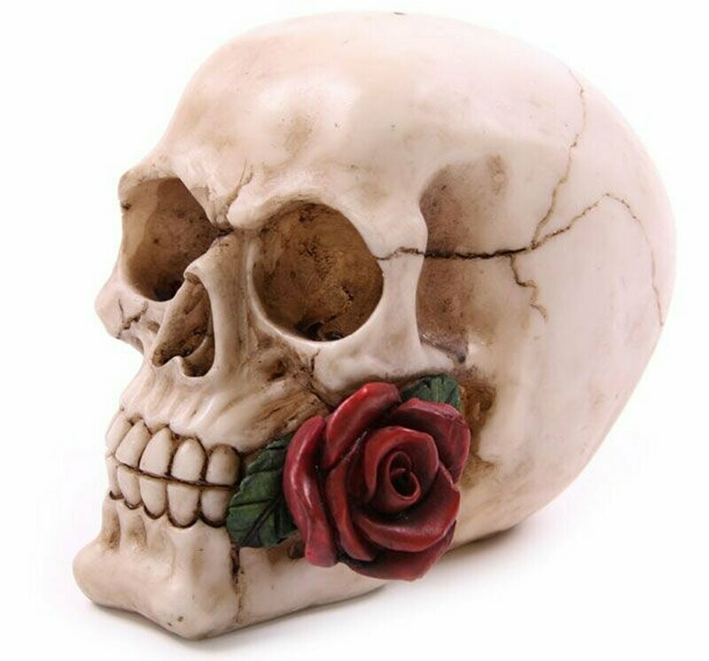 Rose From The Dead