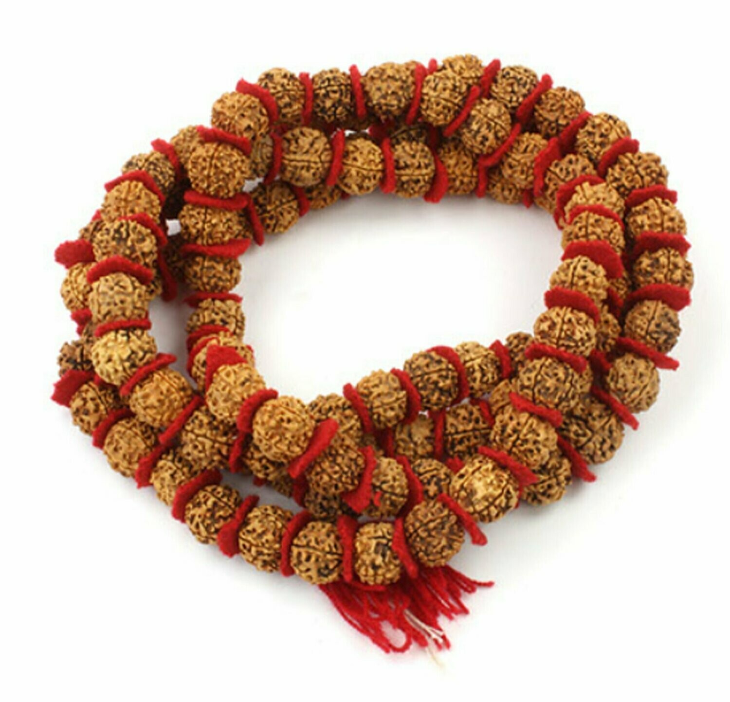 Rudraksha - Shiva's Tears