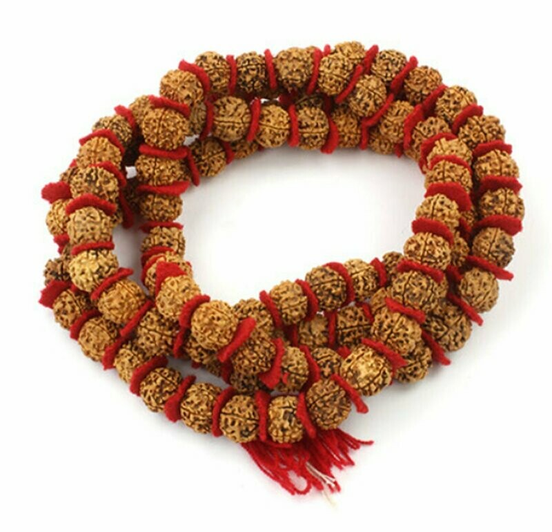 Rudraksha - Shiva's Tears