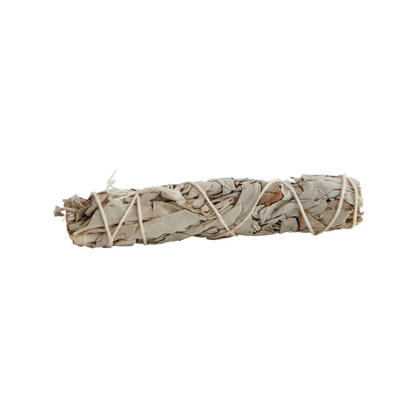 Mini Sage Bundle