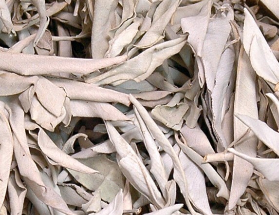 Sage Loose Leaf