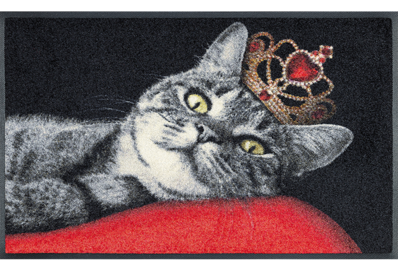 Wash+dry mat Royal Cat 50 x 75 cm