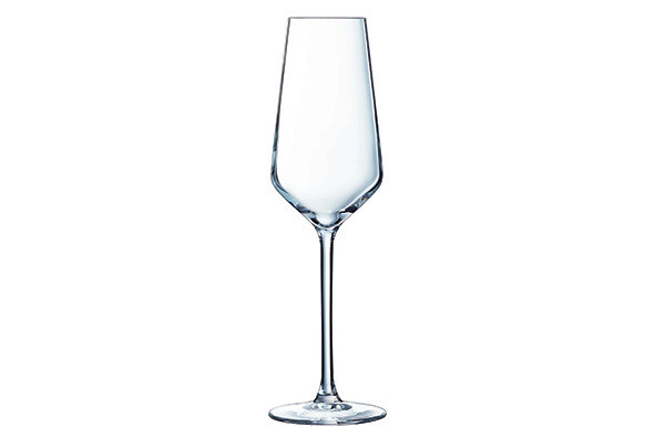 verre de champagne s/6 23cl c&s