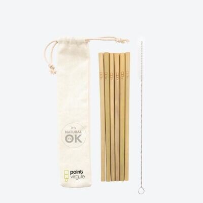 pailles en bambou s/6 + brosse 19,5 cm