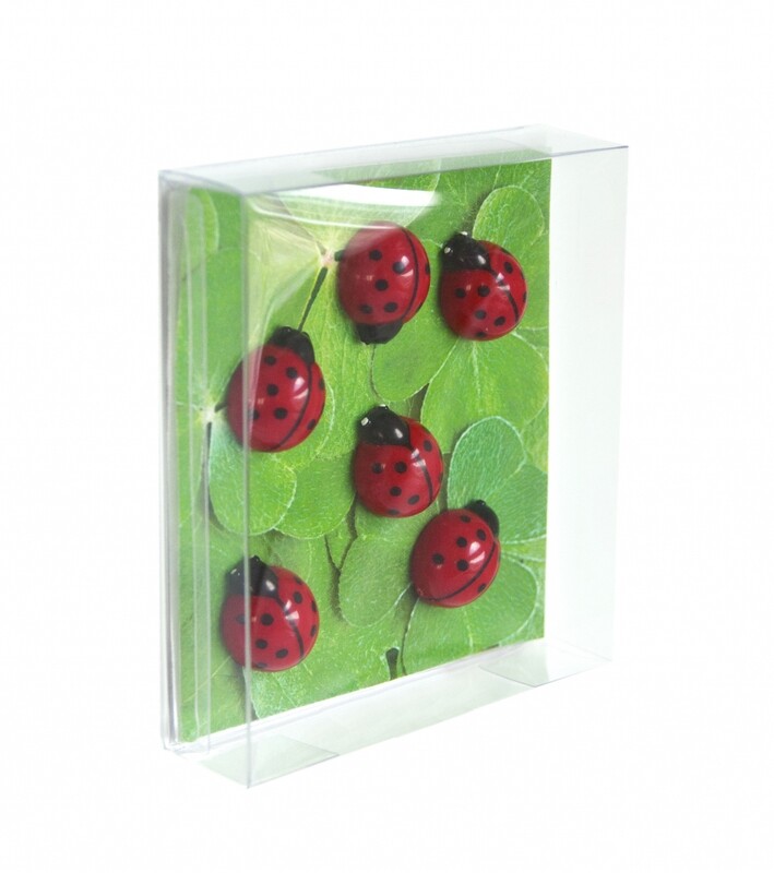 aimants coccinelles s/6 trendform