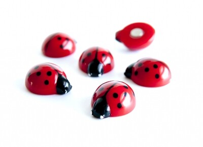 magneten Ladybug s/6 trendform