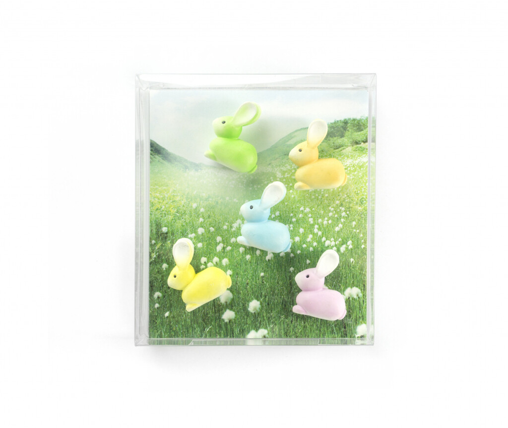 aiments s/5 bunny trendform lapin