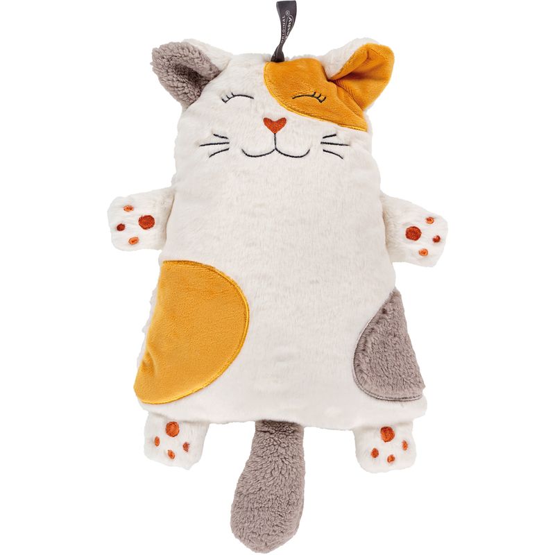 Bouillotte fashy chat