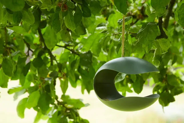 mangeoire à oiseaux en fibre de bambou forest green point-virgule