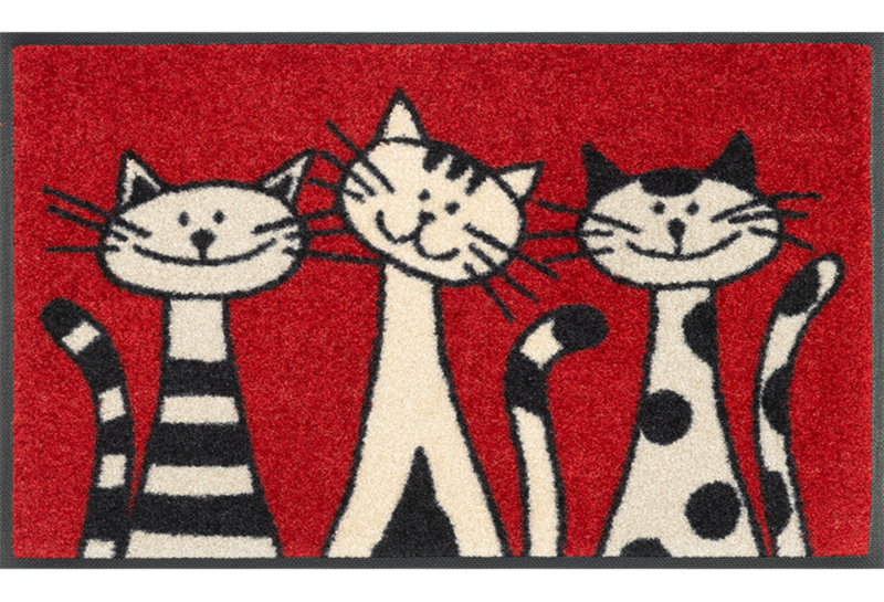 Wash+dry tapis Three Cats 50 x 75 cm