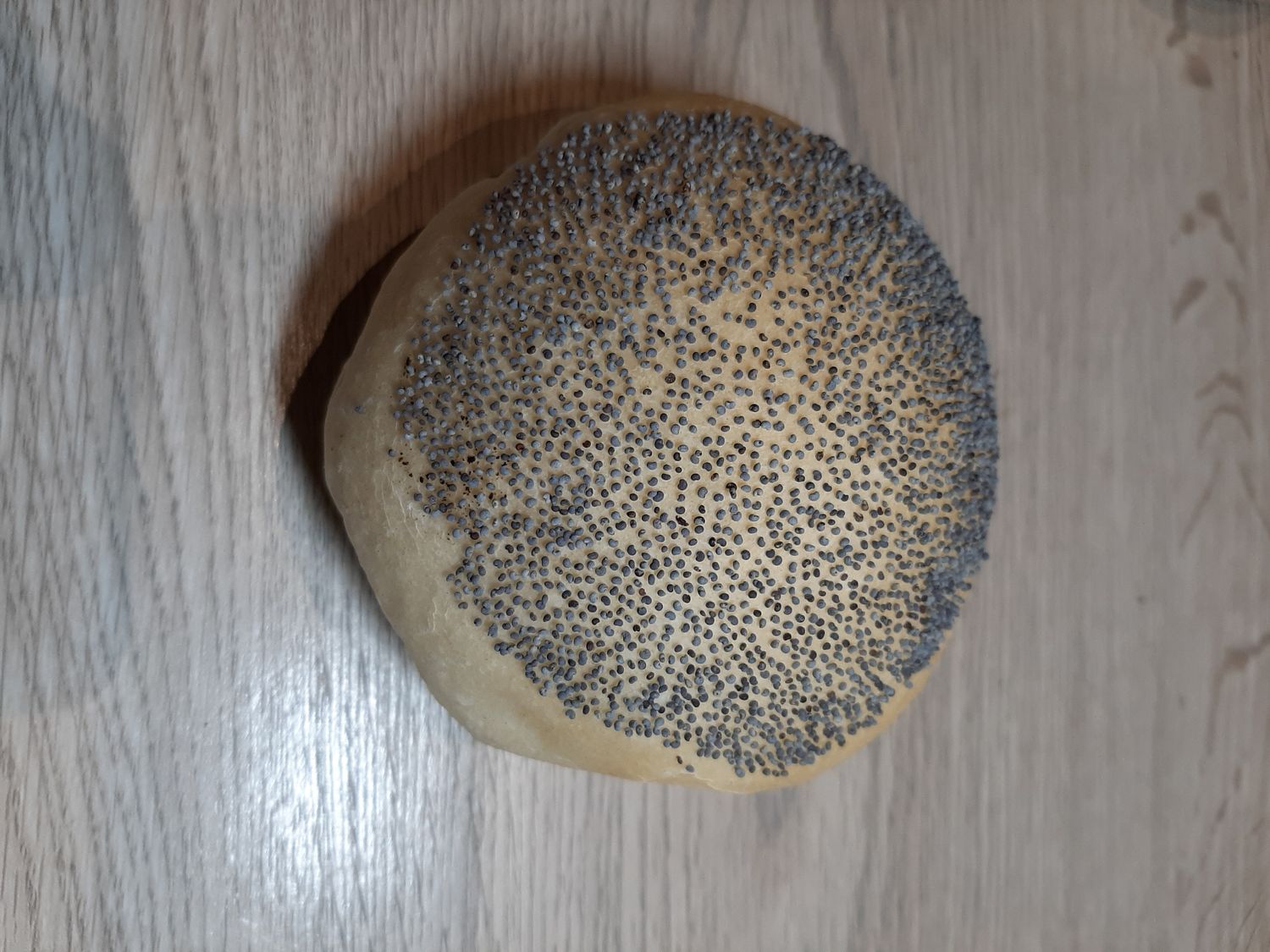 Zachte maanzaad pistolets