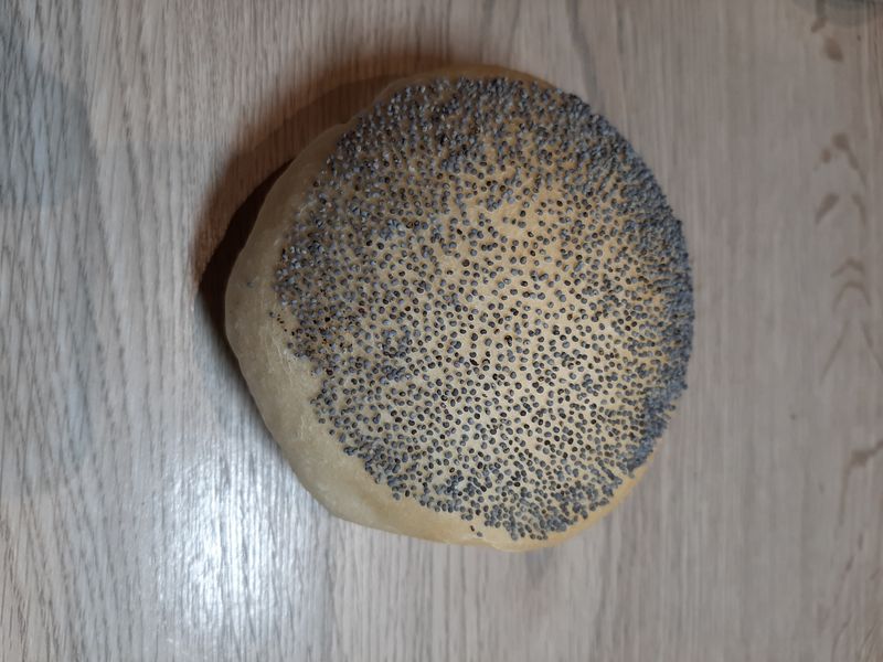 Zachte maanzaad pistolets