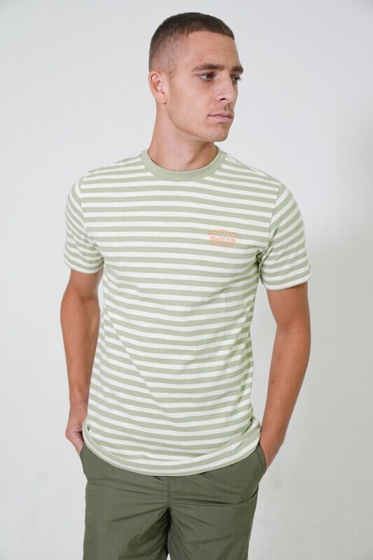 TS Tomor green