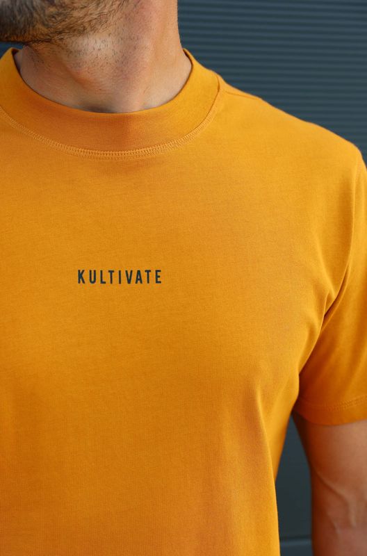 Understanding T-Shirt